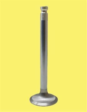 X Subap Emme Egzoz P206-P307-P406 2.0 16V In-8/Ex-8 GUNES 4417-4418