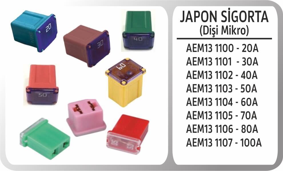 Japon Sıgorta Dısı Mıkro 30A AEM13 1101