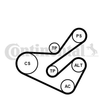 Alternatör Gergi Kiti 6Pk1740 Peugeot P206-P406-Partner-Expert-Cıtroen Berlıngo-Jumpy-Xsara 2.0 Hd I-Scudo 2.0 Jtd 00-06 CONTI 6PK1740K1