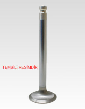 Subap Emme Egzoz Mıtsubıshı L300 Ym 8V In-4/Ex-4 GUNES 3731-3732