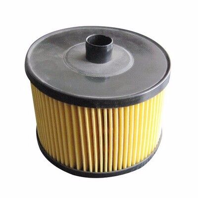 Yakıt Filtresi P307-P308-P407-Expert-C4-C5-Jumpy-Scudo-Focus Iı Cmax Su Ayıraçlı SARDES SF179.1