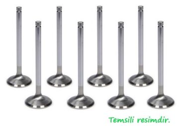 Supap Takımı Renault Clıo Iı-Iıı-Iv Megane Iı-Iıı-Iv Symbol Iı-Iıı Talısman-Kadjar-Juke F15 -Qashqa I I-Iı 1.5 Dci K9k . Mercedes Om607 W176 W246 C117 W415 X156 In:4 Ex:4 GUNES 4613-4614