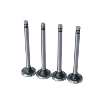 Subap Gaydı Emme / Egsoz Takım Fıesta 1.25L 1.4I 16V Zetec Se /> Mazda 121 1.3L 16V Olcu 11.05X6x 39 GUNES G0409