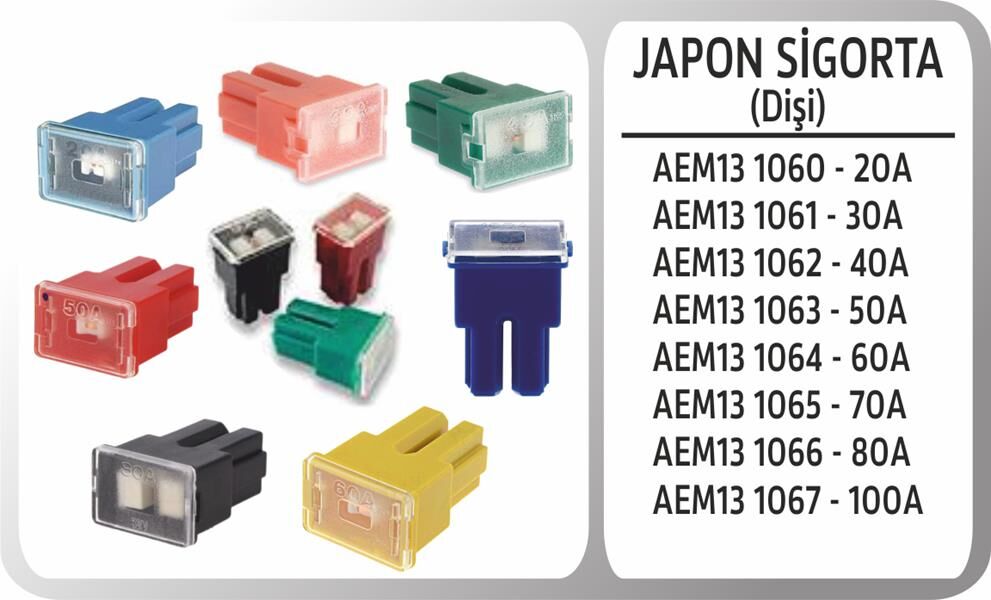 Japon Sıgorta Dısı 80A AEM13 1066