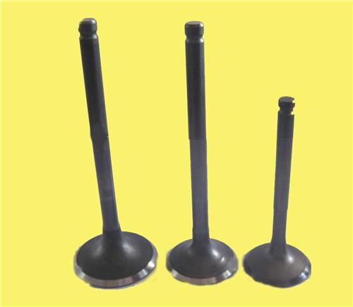 Subap Emme Egzoz Vectra 1.8-Astra 2.0İ-Omega 8V In-4/Ex-4 GUNES 4046-4047