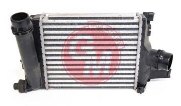 Turbo Radyatörü Intercooler Renault Clıo Iv 0.9 Tce 12 > Dacıa Logan Iı-Mcv Iı-Sandero Iı12 > GUA 42042