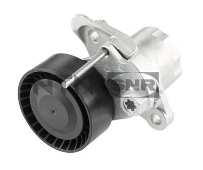 Auxiliary Pulley SNR GA35770
