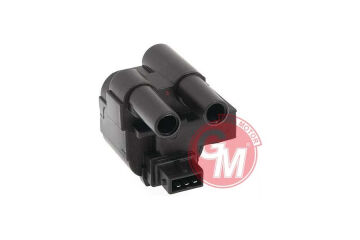 Ateşleme Bobini R9 1.4 Broadway-Mgn-Kng-Scenıc-Clıo Iı Siyah Soketli ERA 880020A