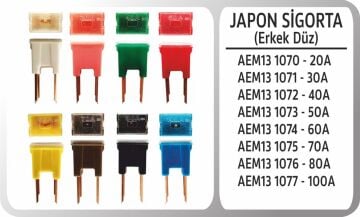 Japon Sıgorta Erkek Düz 20A AEM13 1070
