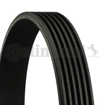 Kanallı Kayıs Mercedes Dodge Ford Jeep Lexus Mazda Toyota Vw CONTI 6PK2241