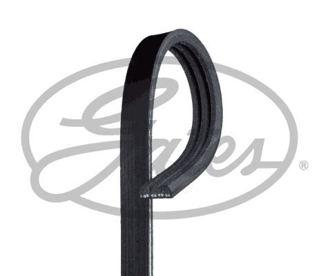 Kanallı Kayış R19-Mgn-Clıo-Exp-Palıo GATES 3PK715