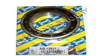 Defransiyel Rulmanı Küçük R9-R11-Saxo-P106 I-Iı-Logan X SNR AB12831