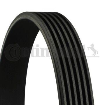 Kanallı Kayış Vw Caddyıı Golfıı Golf V Passat Peugeot 306 406 Cıtroen Xsara Audı Bmw Mıtsubıshı Nıss CONTI 6PK1070