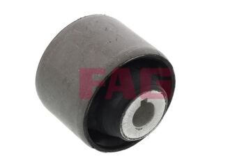 Salıncak Burcu T5 04-> Buyuk FAG 829030410