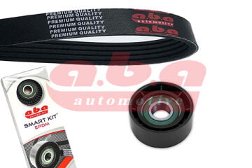 Alternatör Gergi Kiti Clıo Iı-Kng 1.6-1.4 16V Lgn I-Iı 1.6 16V-Master-Traffıc-Movano-Vıvaro1.9Dcı 25306203 5Pk1750 ABA 5PK1750S1