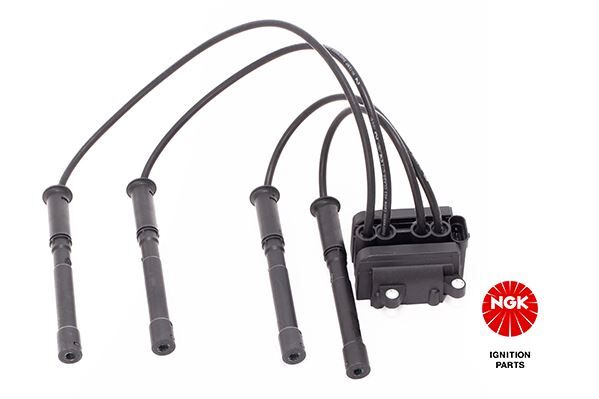 Ateşleme Bobini Renault Clıo Iı 01> Clıo Iıı 05> Twıngo 01> 1.2 16V D4f.7.06-D4f.7.12 NGK 48007