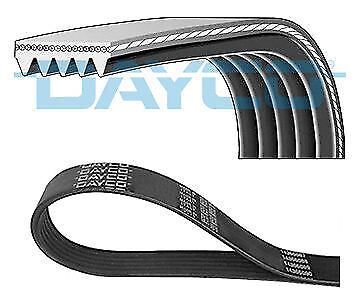 Kanallı Kayış Ferrarı 456 Mıtsubsubıshı 25 2.7 12V 84-89 2.8 12V 86-92 DAYCO 5PK1320