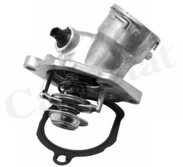Termostat 100 C Mercedes M273 W212 S212 C207 A207 W463 W221 W166 W251 C216 R230 VERNET TE7155.100J