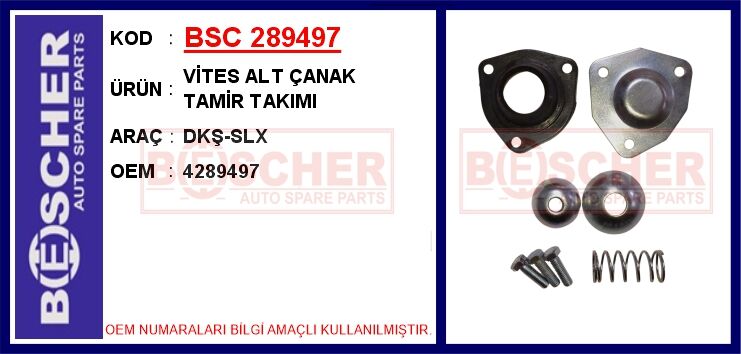 Vites Alt Çanak Tamir Takımı Dkş-Slx BSC 289497
