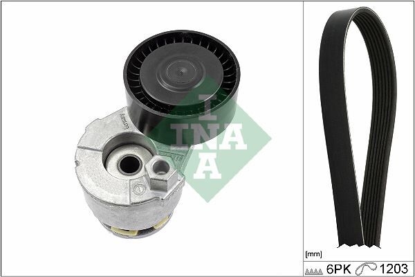 Alternatör Gergi Kiti Kutuklu Clıo Iı 01>06 Fluence 10>Laguna Iıı 07>15Megane Iı 02>08Megane Iıı 08> Juke F15 10>Duster 10>Sandero Iı 12> Dokker 12> 1.4 K4j 1.5 Dcı K9k 1.6 K4m K026pk1203 INA 529000910