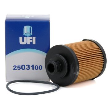 Opel Corsa D 1.3 Dizel UFİ Tip Yağ Filtresi 5650367 - 2503100