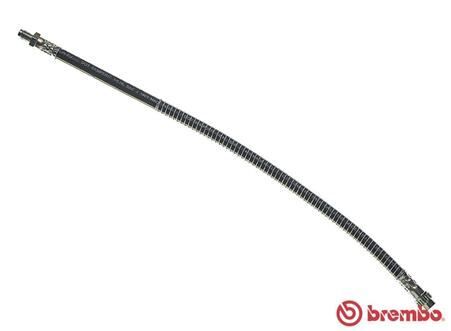 Ön Fren Hortumu Peugeot P307 00> Cıtroen C4 04> 420Xm10 BREMBO T61051