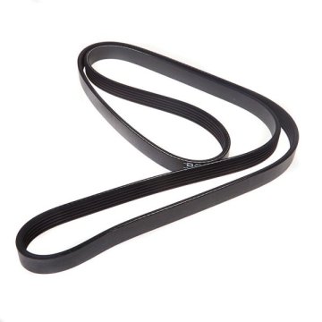 Chevrolet Aveo T250 / T255 1.4 16 Valf V Kayışı 2010-2011 Model Arası 5PK1570 - 6340677